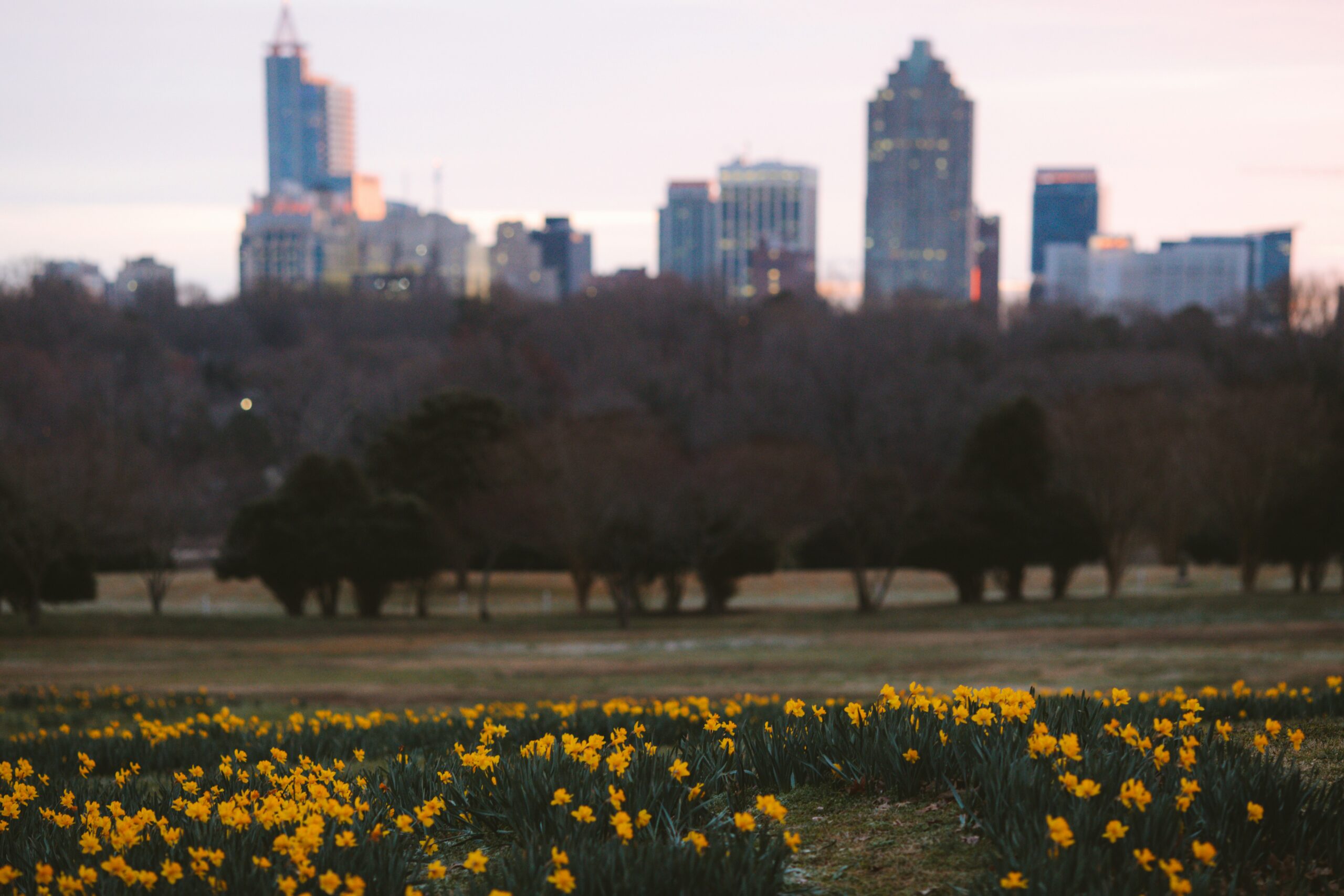 Raleigh NC skyline — Legacy Careers LLC career coaching and resume writing